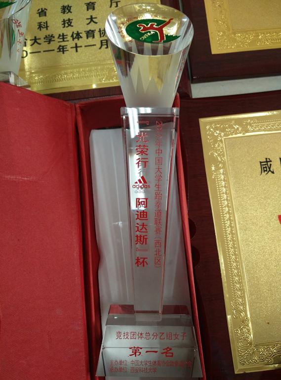 12年阿迪达斯杯大学生跆拳道女子第一名