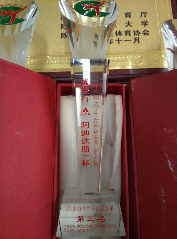 ​12年阿迪达斯杯大学生跆拳道女子品势团体第三名